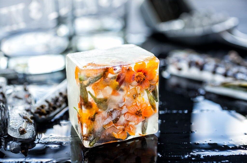 The 101 on Garnishes
